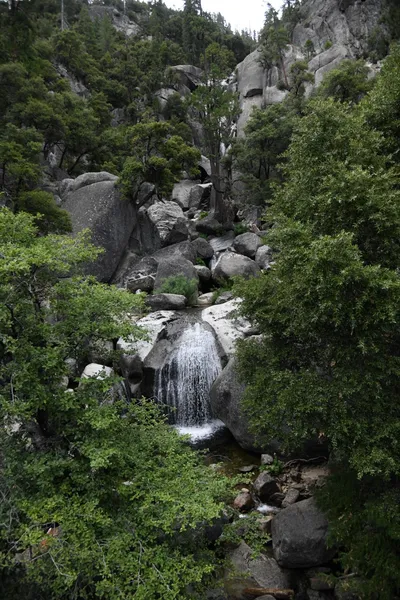 DSC_4512 (Large).JPG